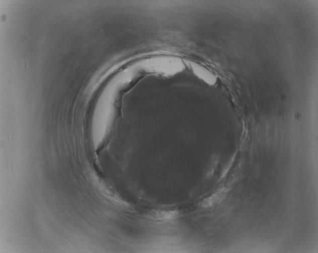 X0000066120247200604071919