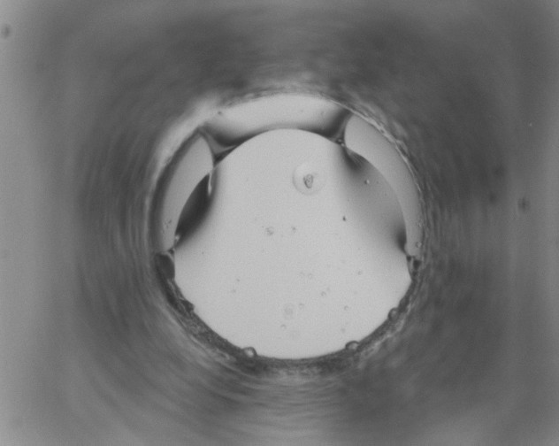 X0000066120248200604071919