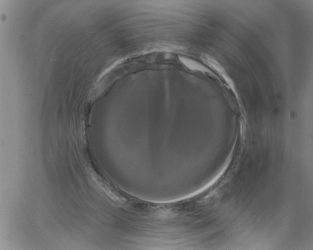 X0000066120249200604071919