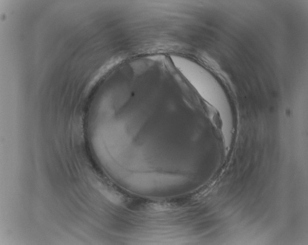 X0000066120250200604071919