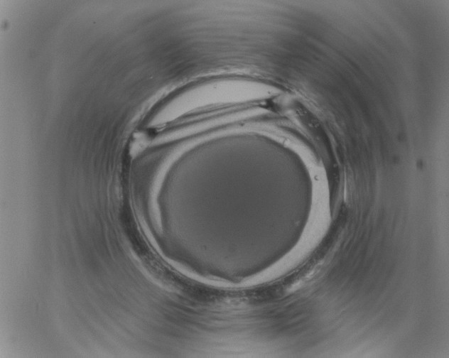 X0000066120252200604071919