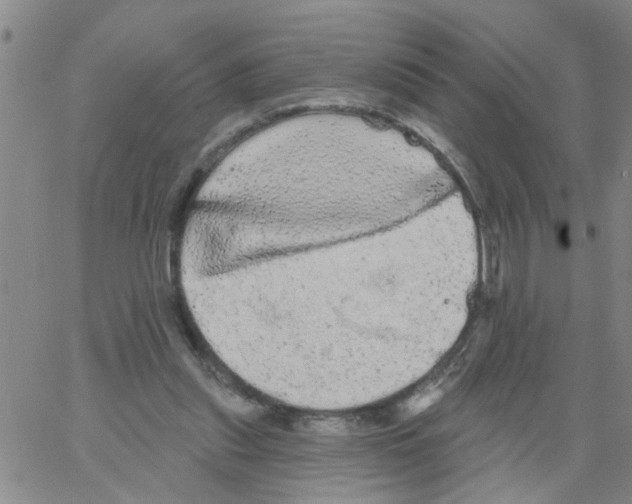 X0000066120253200604071919