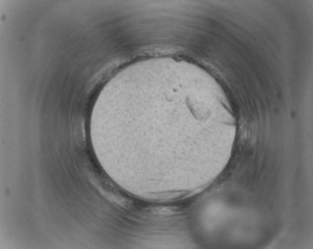 X0000066120254200604071919