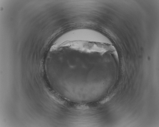 X0000066120258200604071919