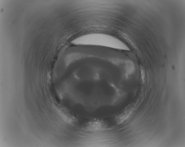 X0000066120259200604071919