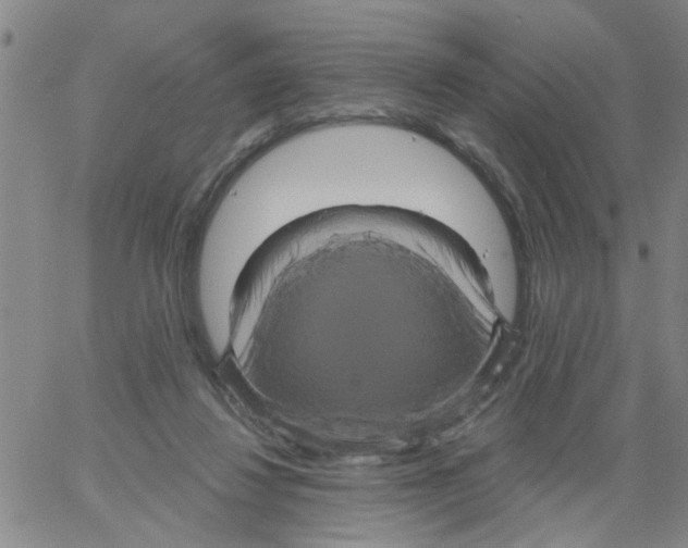 X0000066120260200604071919