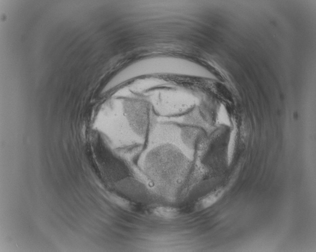 X0000066120261200604071919