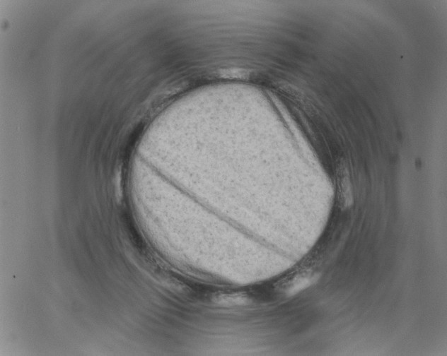 X0000066120262200604071919