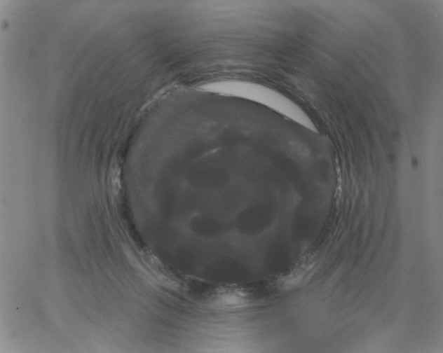 X0000066120263200604071919