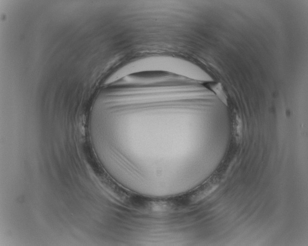 X0000066120264200604071919