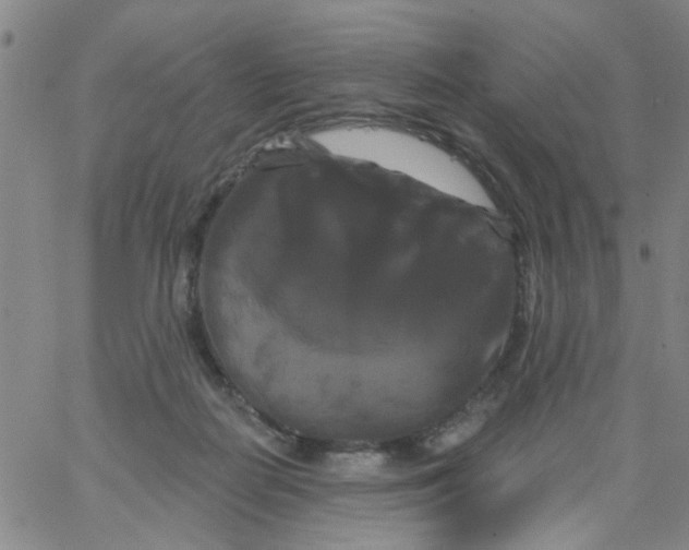 X0000066120266200604071919