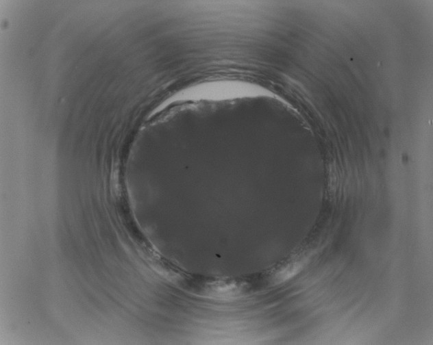 X0000066120267200604071919