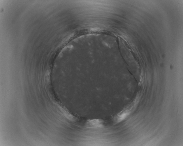 X0000066120269200604071919