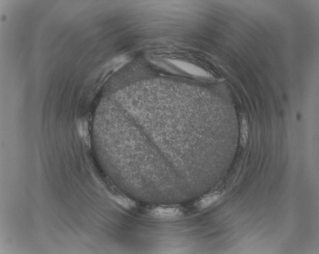 X0000066120270200604071919