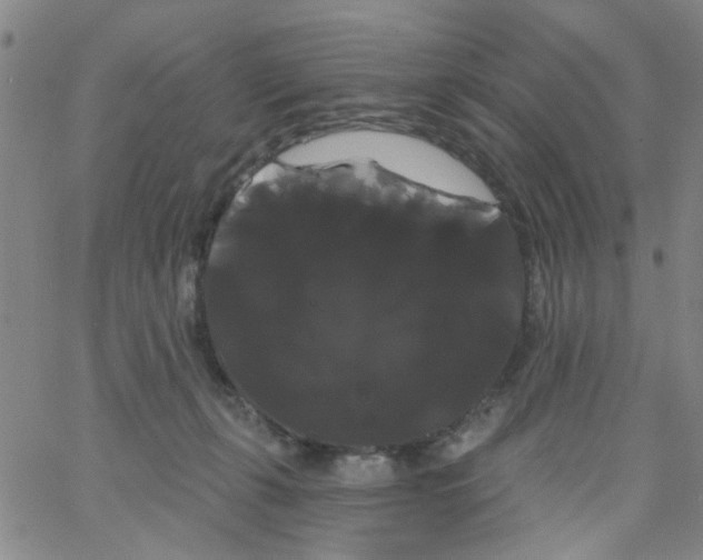 X0000066120271200604071919