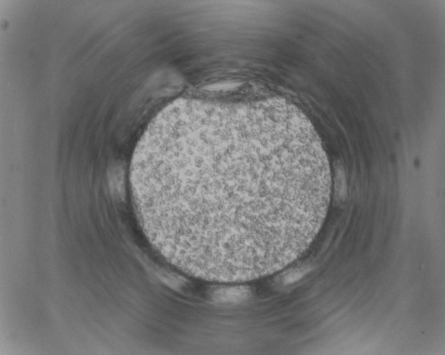 X0000066120274200604071919