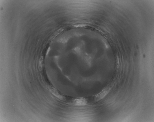 X0000066120275200604071919