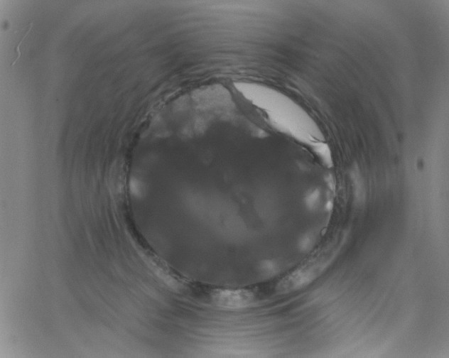 X0000066120277200604071919