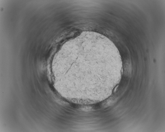 X0000066120278200604071919