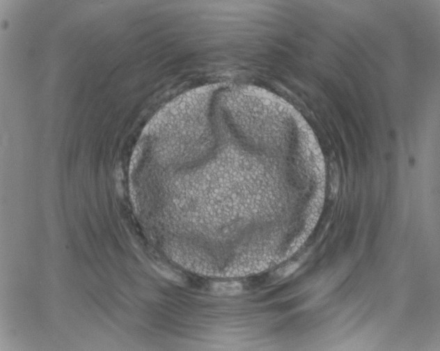 X0000066120279200604071919