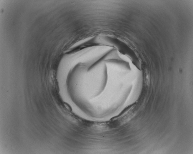 X0000066120280200604071919