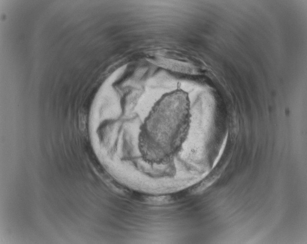 X0000066120281200604071920