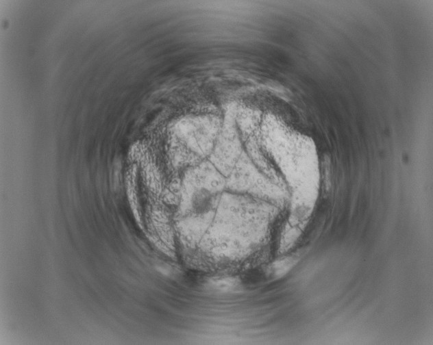 X0000066120283200604071920