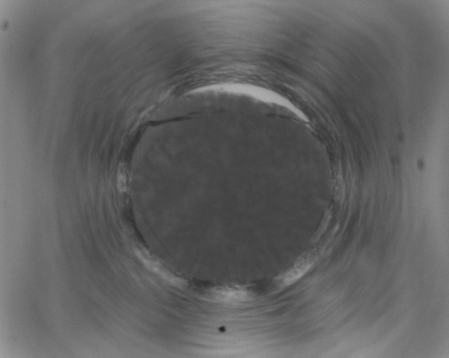 X0000066120284200604071920