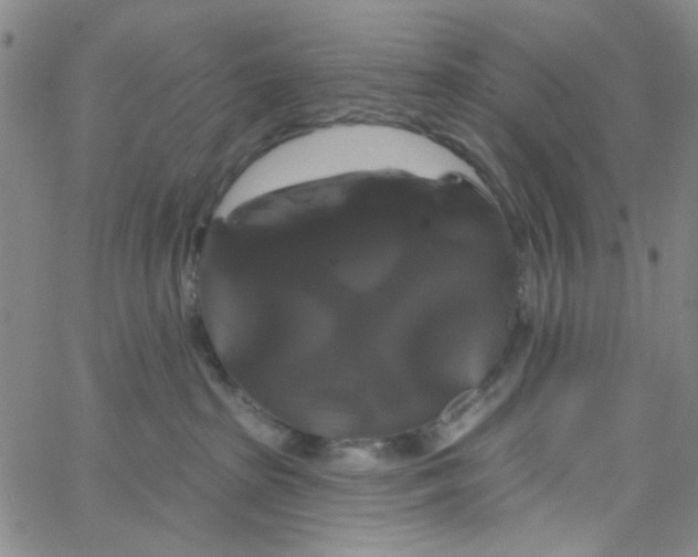 X0000066120285200604071920