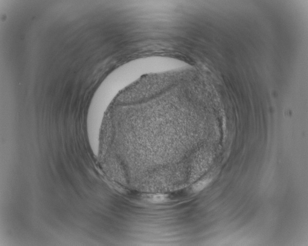 X0000066120288200604071920