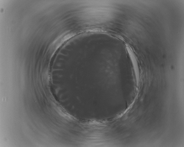 X0000066120290200604071919