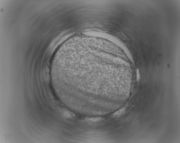 X0000066120291200604071919