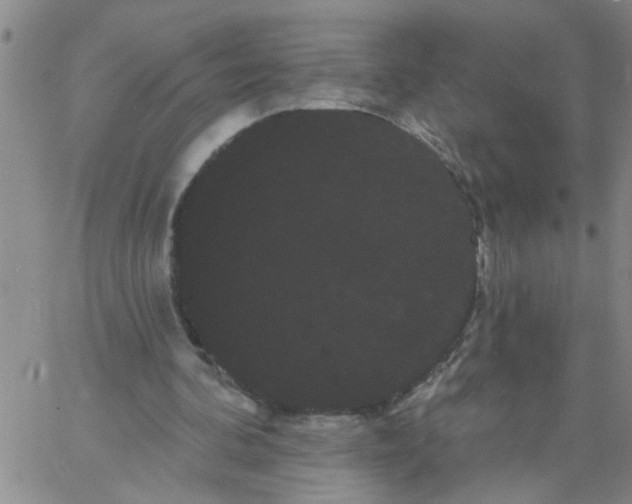 X0000066120292200604071919