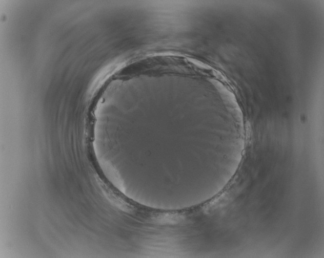 X0000066120293200604071919