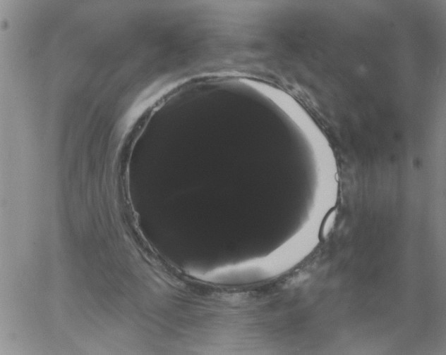 X0000066120295200604071919