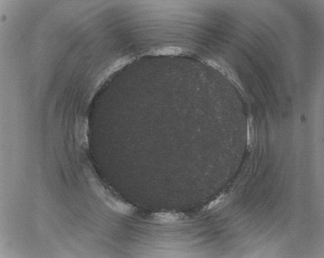 X0000066120300200604071919