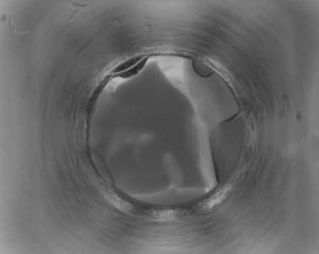 X0000066120301200604071919