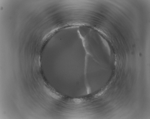 X0000066120302200604071919