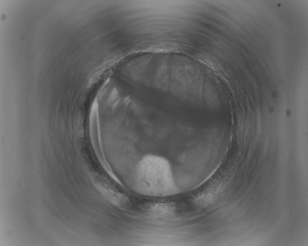 X0000066120303200604071919