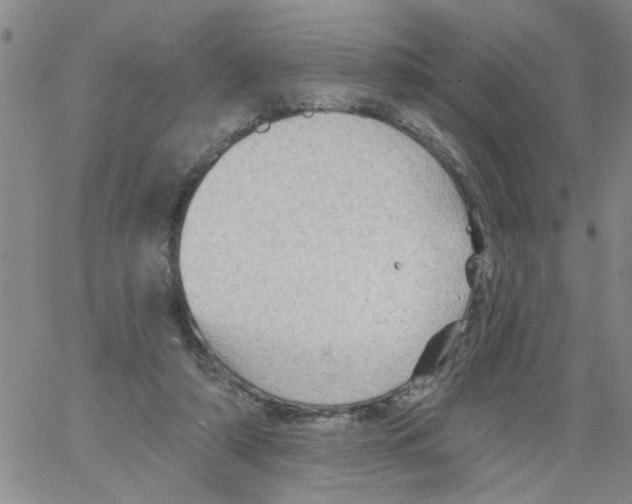 X0000066120306200604071919