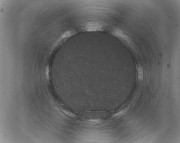 X0000066120308200604071919