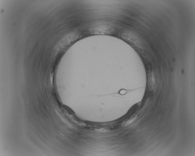 X0000066120310200604071918