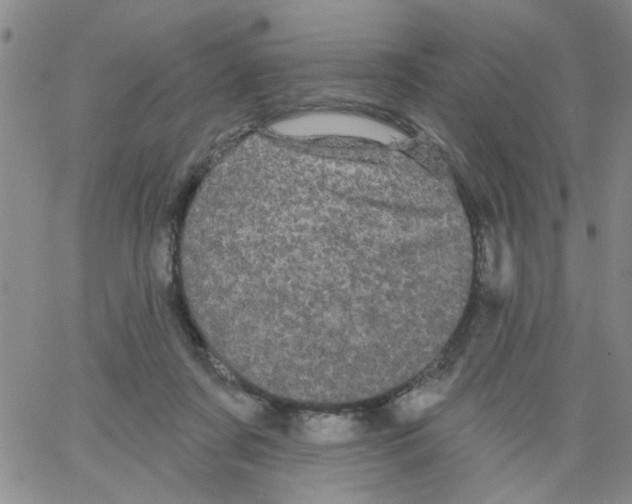 X0000066120311200604071918