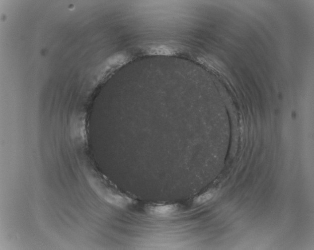 X0000066120312200604071918