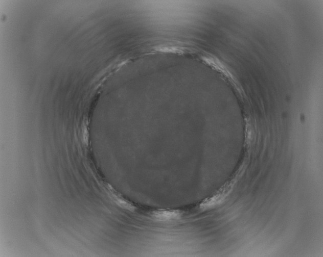 X0000066120313200604071918