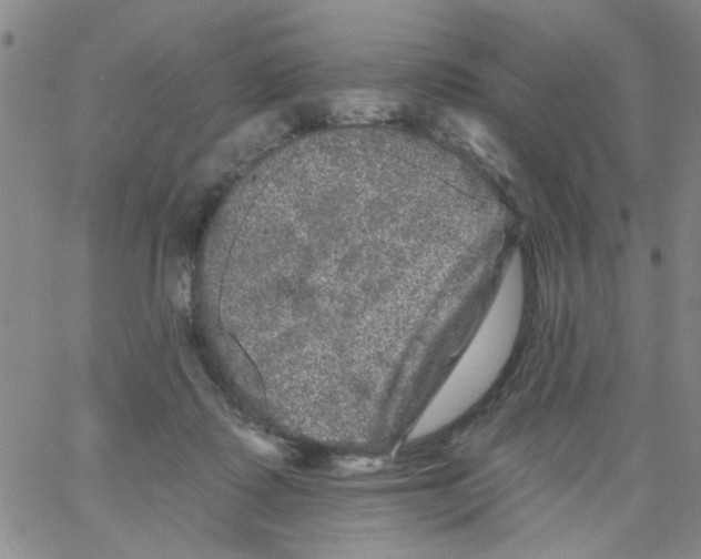 X0000066120315200604071918