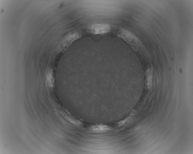 X0000066120316200604071918