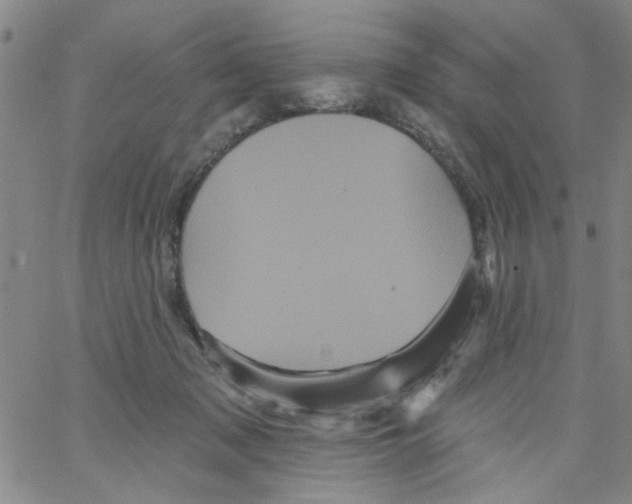 X0000066120317200604071918