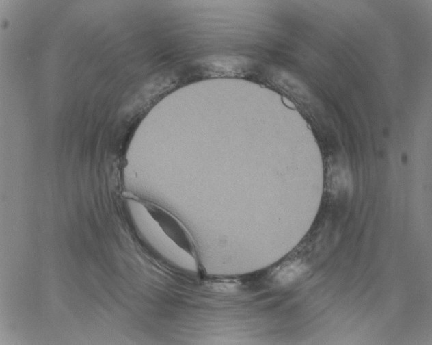 X0000066120318200604071918