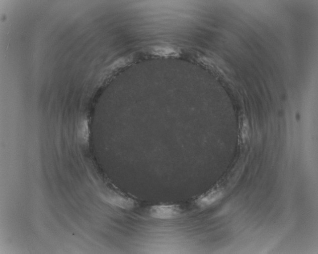 X0000066120320200604071918